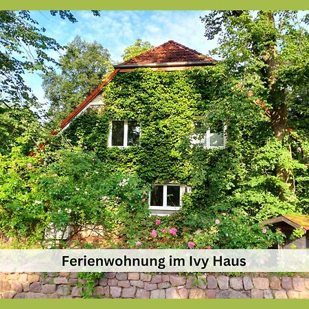 Ferienwohnung Ivy Haus Falkensee Exterior foto