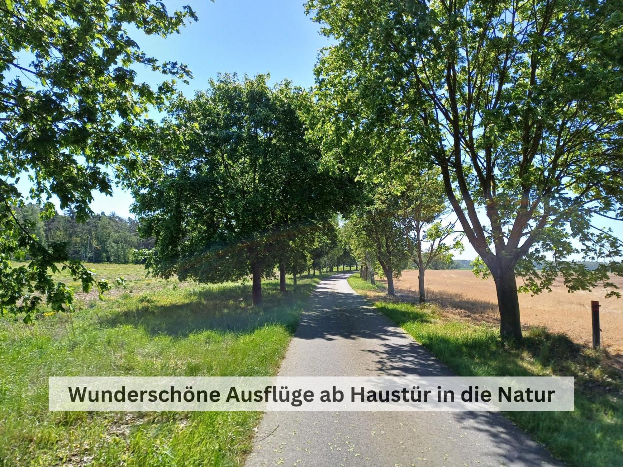Ferienwohnung Ivy Haus Falkensee Exterior foto